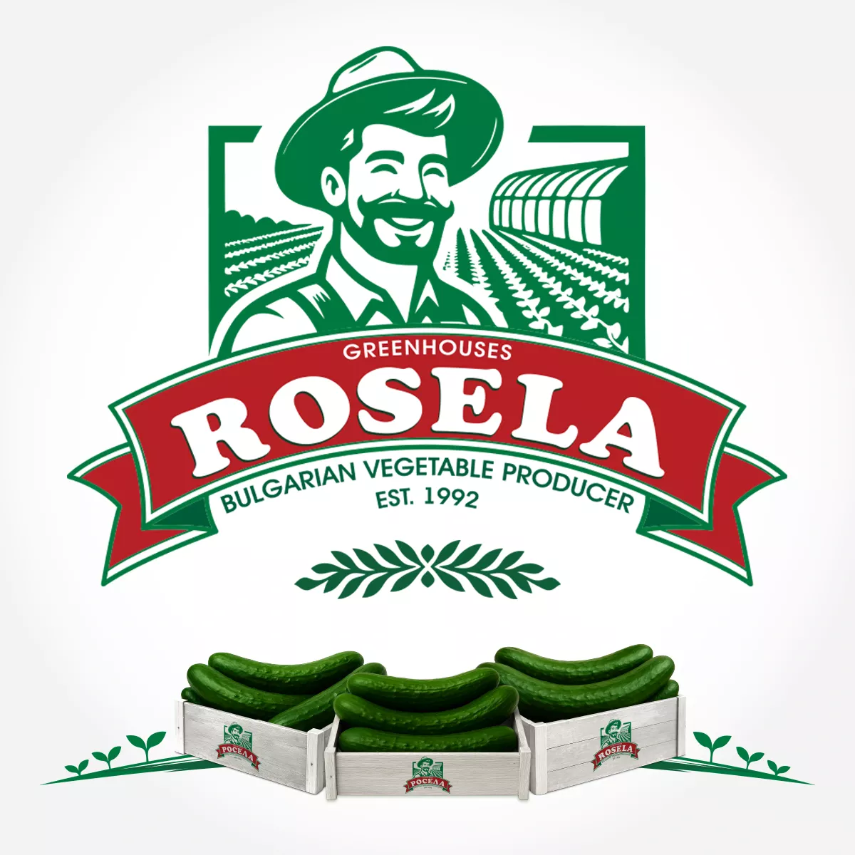 Google ads case study performance showing Rosela AD premium cucumber producer logo with farmer character established 1992