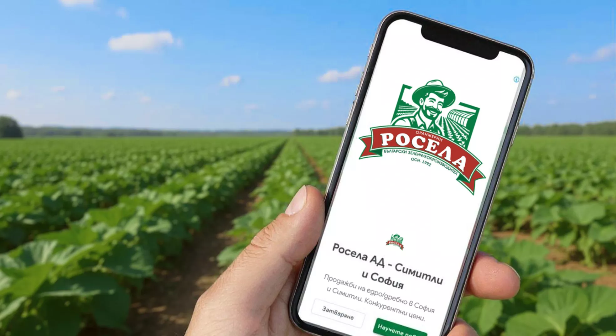 Smartphone displaying Rosela AD Google Display ad with cucumber fields showing case study campaign results