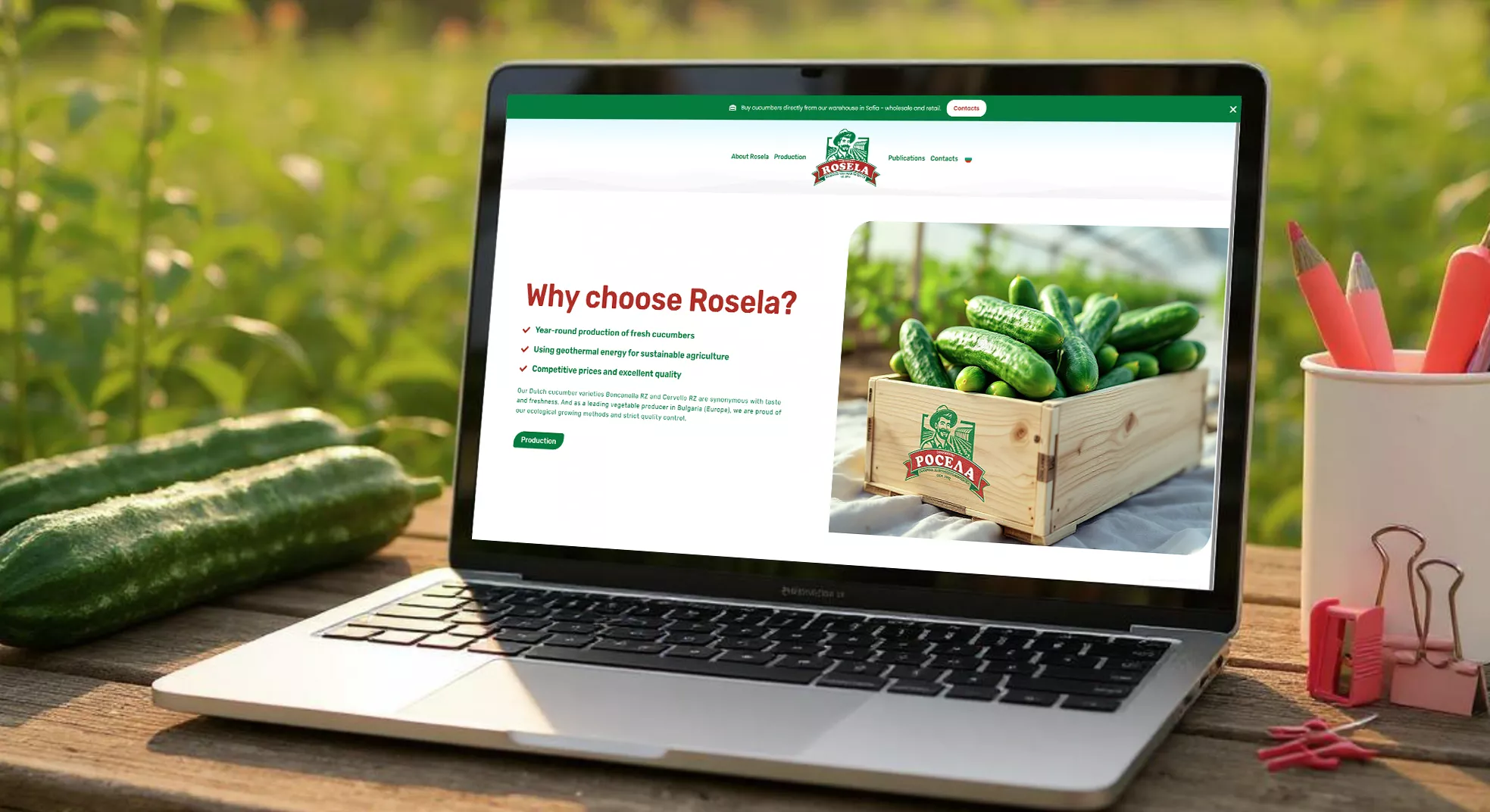 Laptop displaying Rosela AD's professional website homepage with "Why choose Rosela?" section, premium cucumber branding, and bilingual design showcasing proven digital marketing strategies implementation