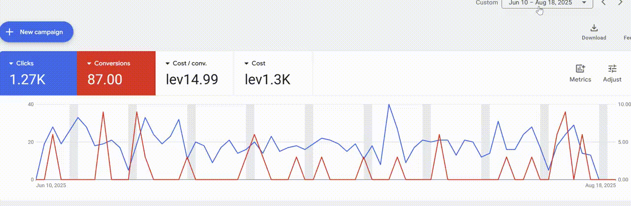 Google Ads Result - The Results 87 Qualified Inquiries at Minimal Cost